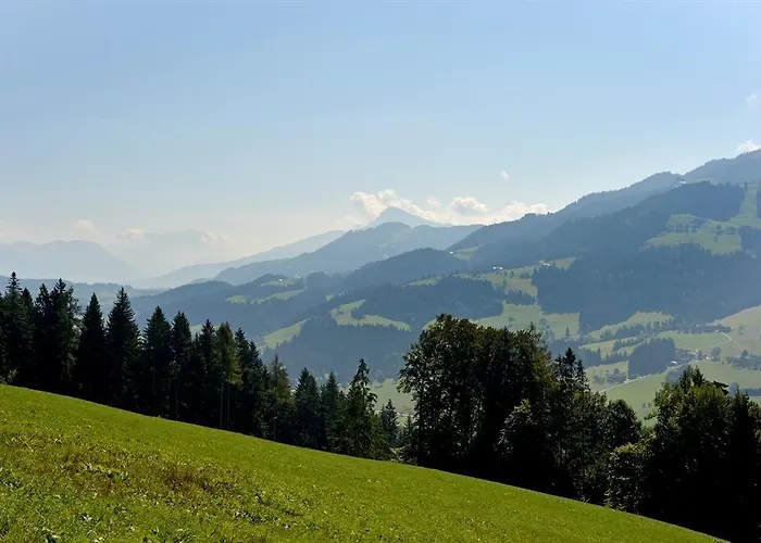 Vorderlaiming 瑟尔