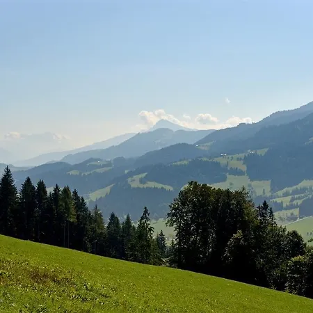 Vorderlaiming سول